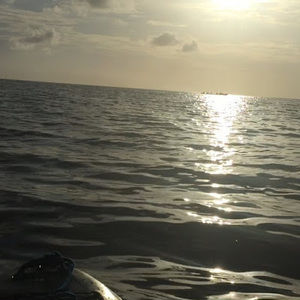 Meet your Posher, Vinnie